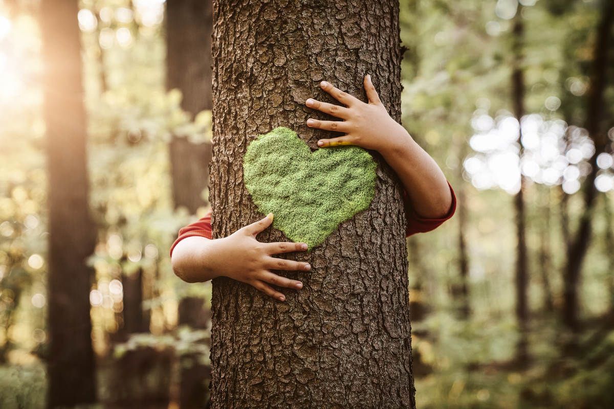 Persona abraçant un arbre amb un cor