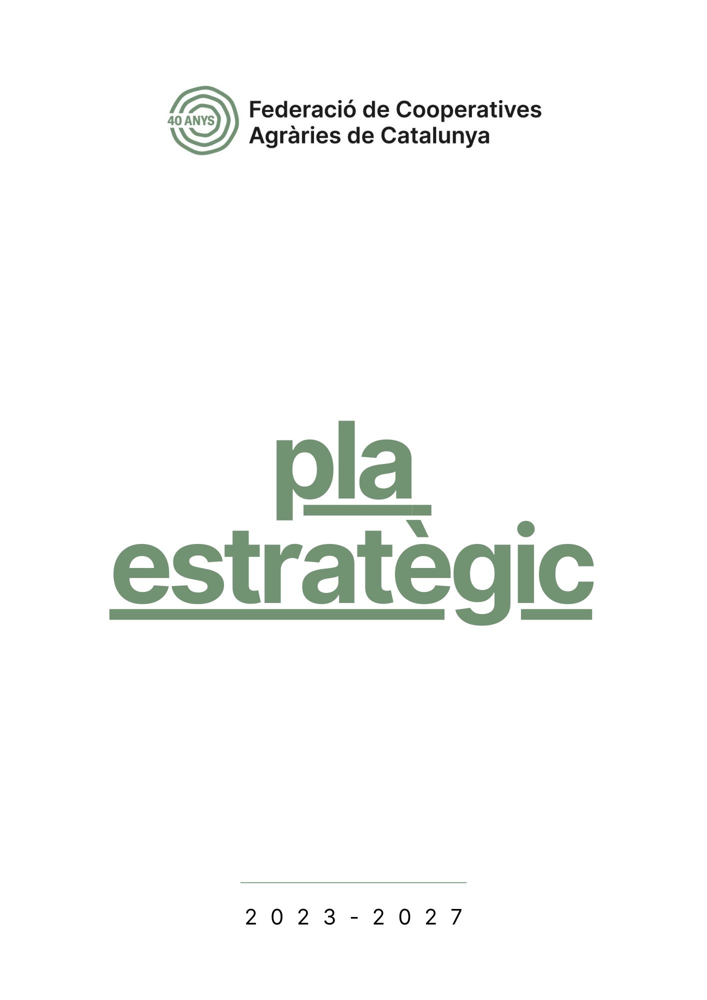 Pla Estratègic 2017-2021