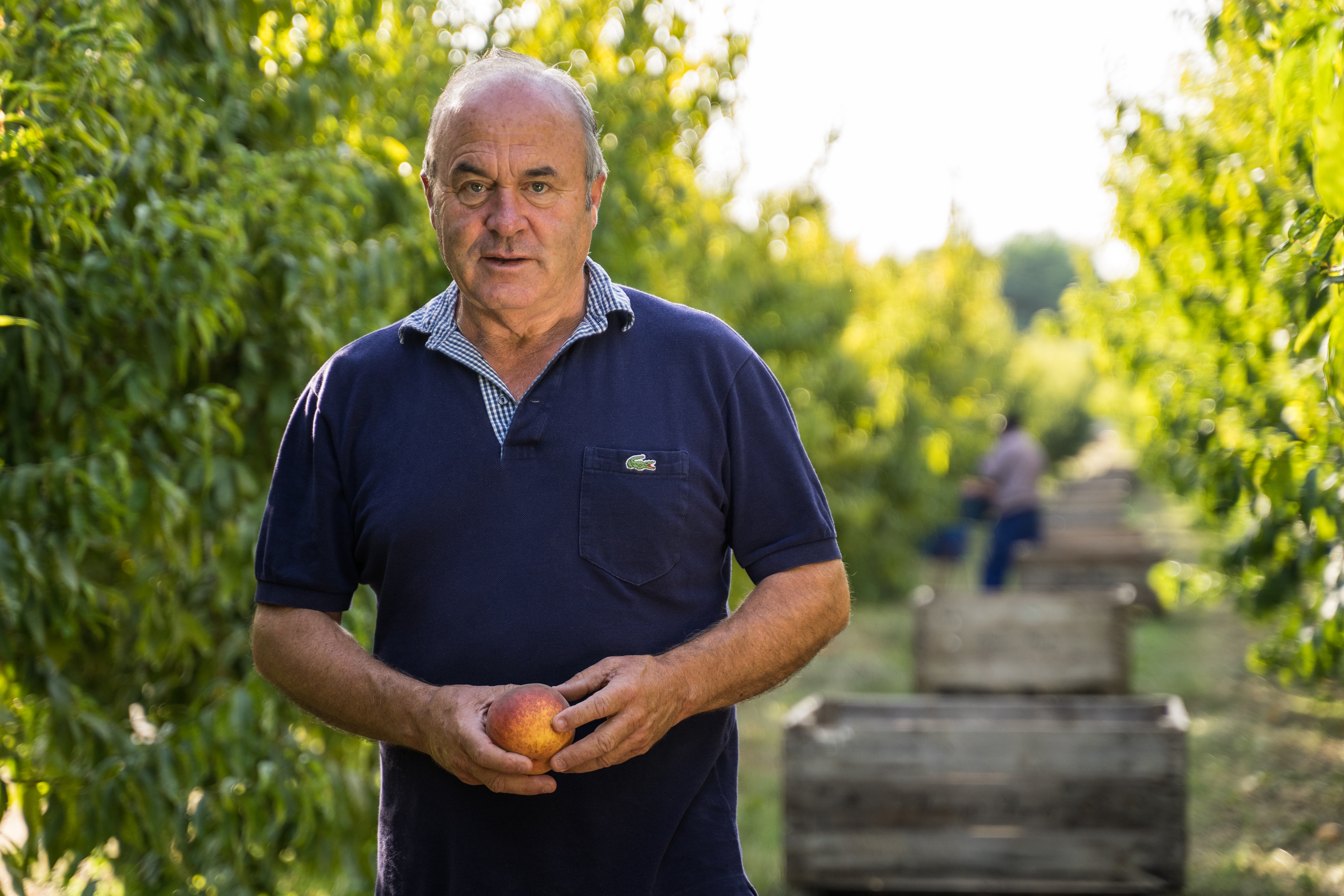 Ramon Sarroca, president de la Federació de Cooperatives Agràries de Catalunya