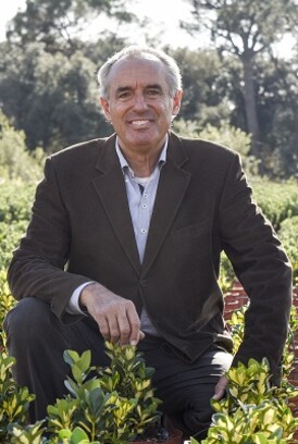 Ferran Sabater reelegit vicepresident del Consell sectorial de Flor i Planta viva de CAE.