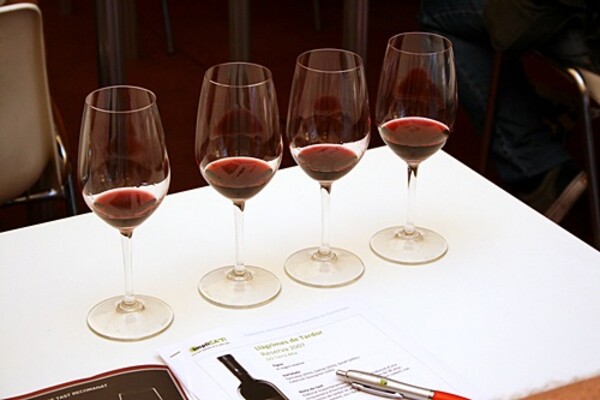 Tast de vins a la Mostra de Vins i Caves de Catalunya